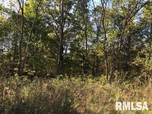 0 North 200th Road Industry, IL 61440 - Photo 1 of 1