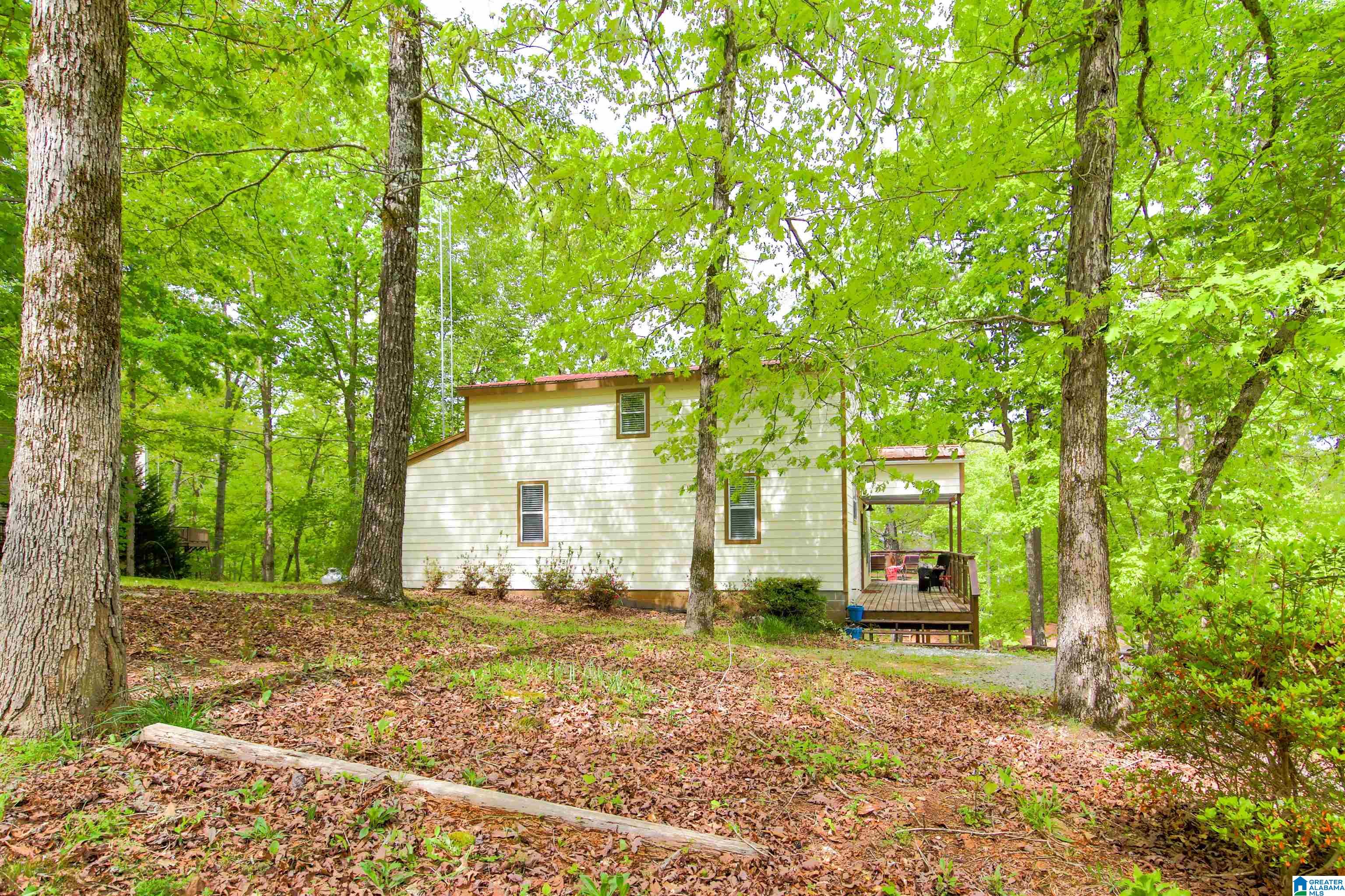 65 River Point Drive Wedowee, AL 36278 - Photo 2 of 21