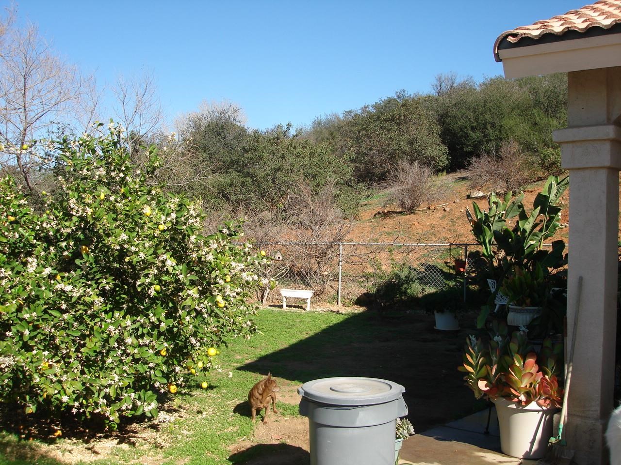 22817 Tombill Road Ramona, CA 92065 - Photo 19 of 25 Gallery Image 19
