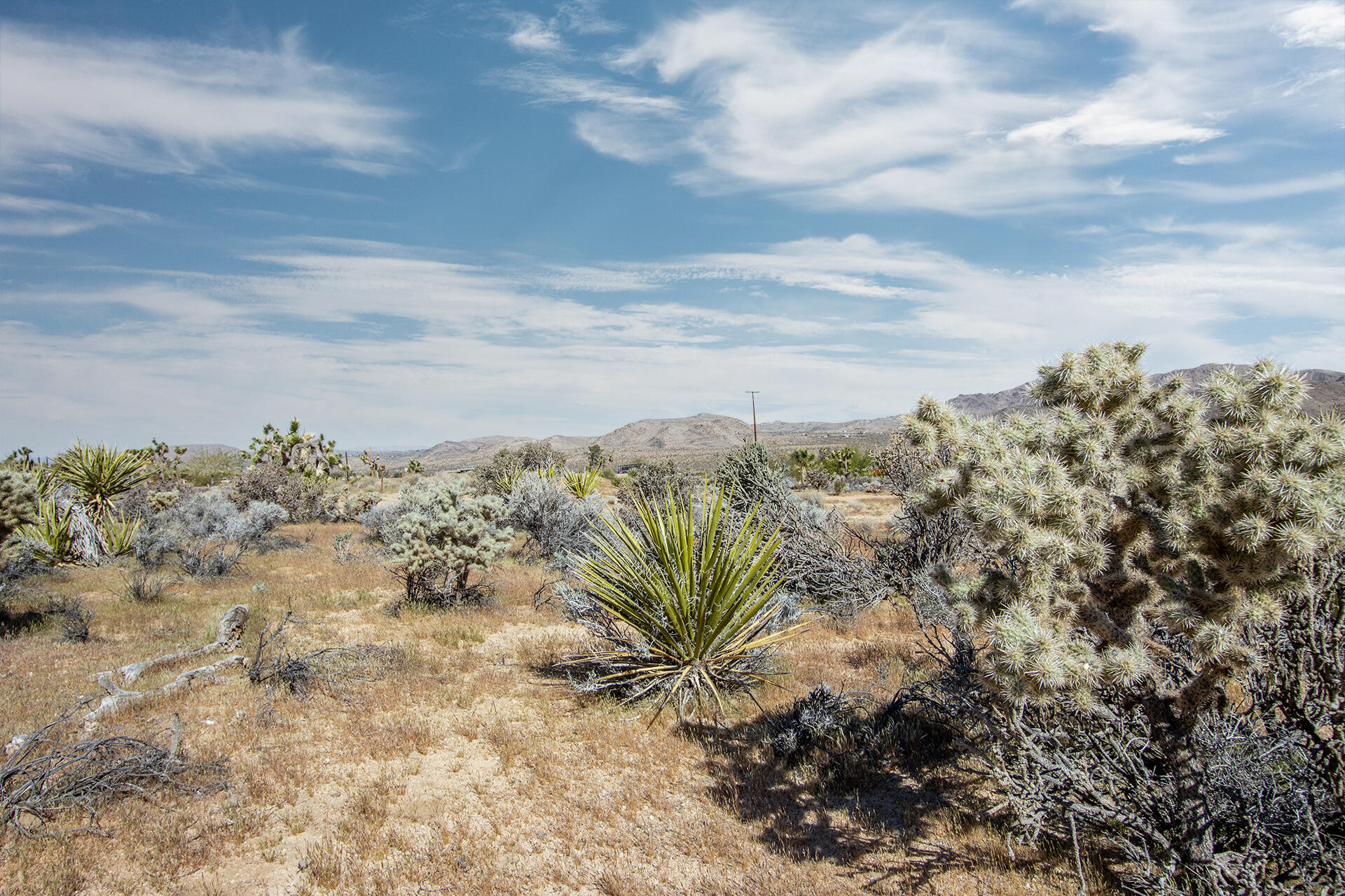102 Saddleback Road Joshua Tree, CA 92252 - Photo 3 of 18 IMG_7724