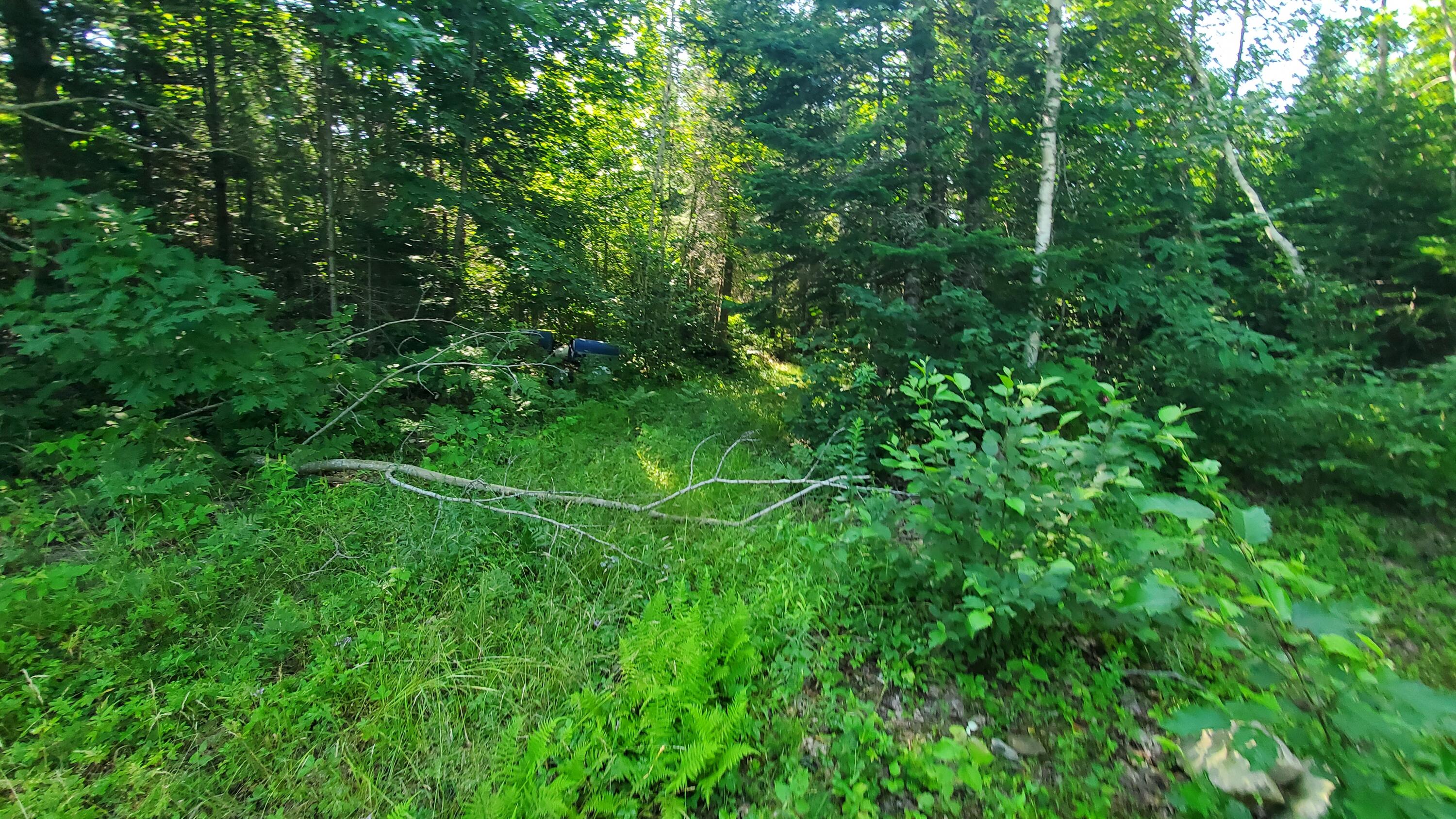 202 Lower Cross Road Hudson, ME 04449 - Photo 16 of 44 20240717_093827