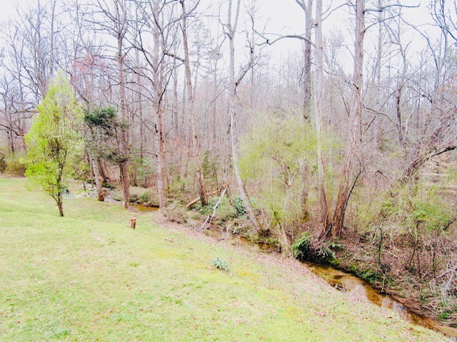 162 Childress Road Pickens, SC 29671 - Photo 35 of 37
