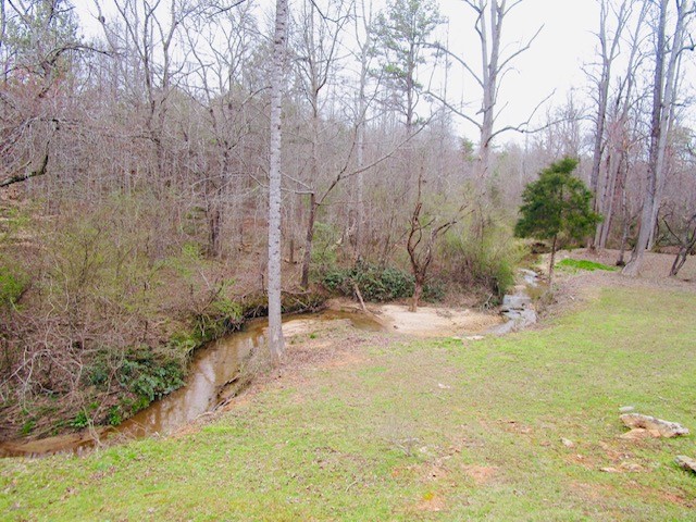 162 Childress Road Pickens, SC 29671 - Photo 36 of 37