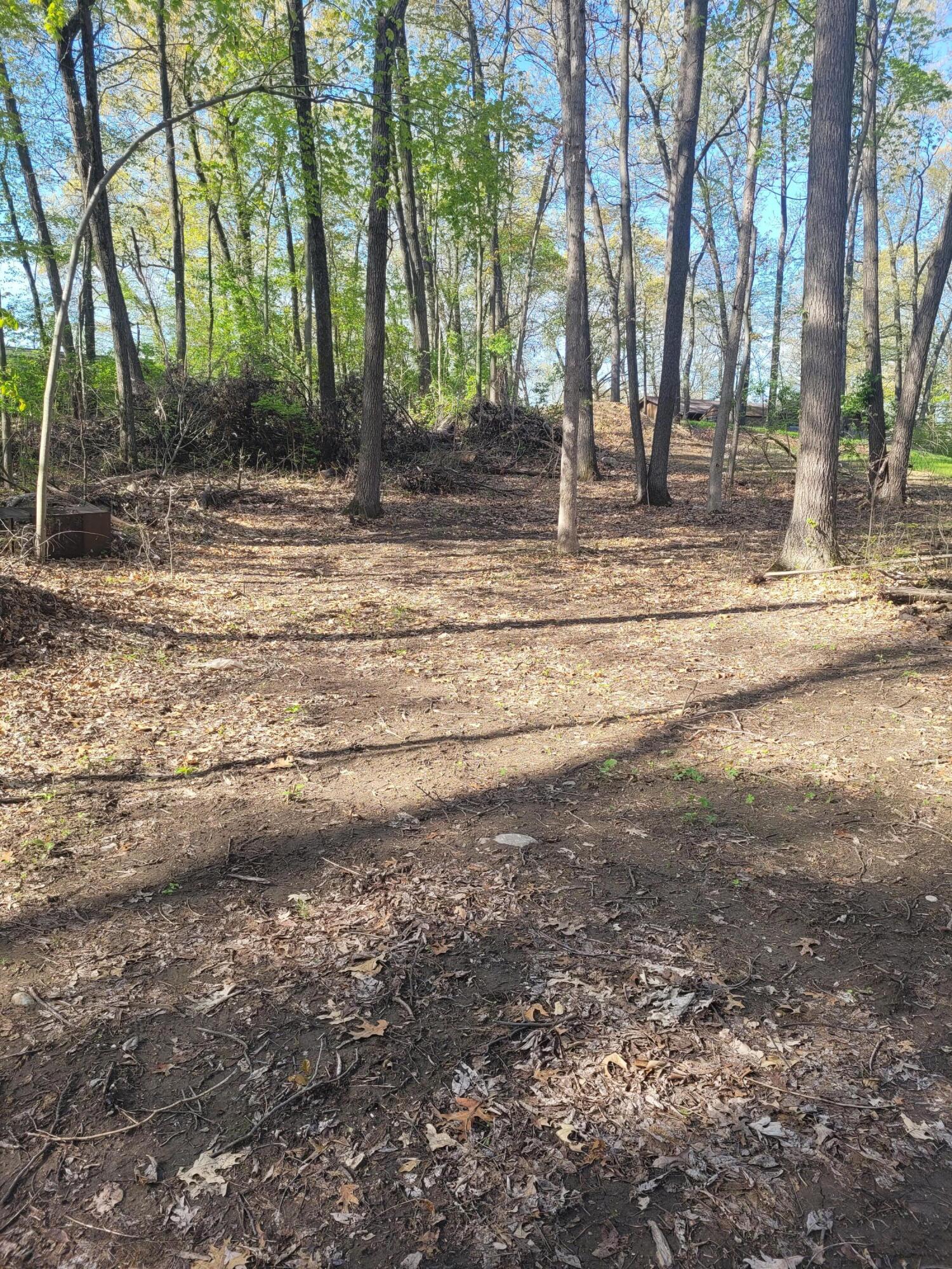 11839 Vicary Road Jerome, MI 49249 - Photo 4 of 5 Clearing for Parking