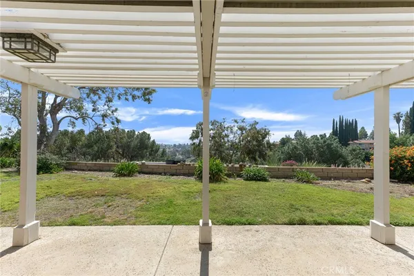 a view of a garden with a large tree