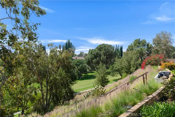 a view of a flower in a garden