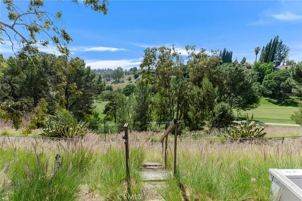an aerial view of a trees