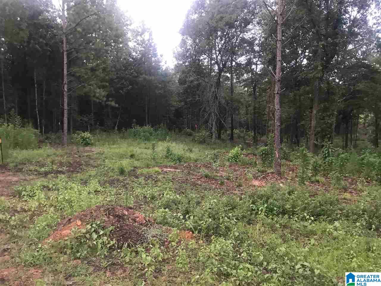 2225 Westover Road Sterrett, AL 35147 - Photo 9 of 10