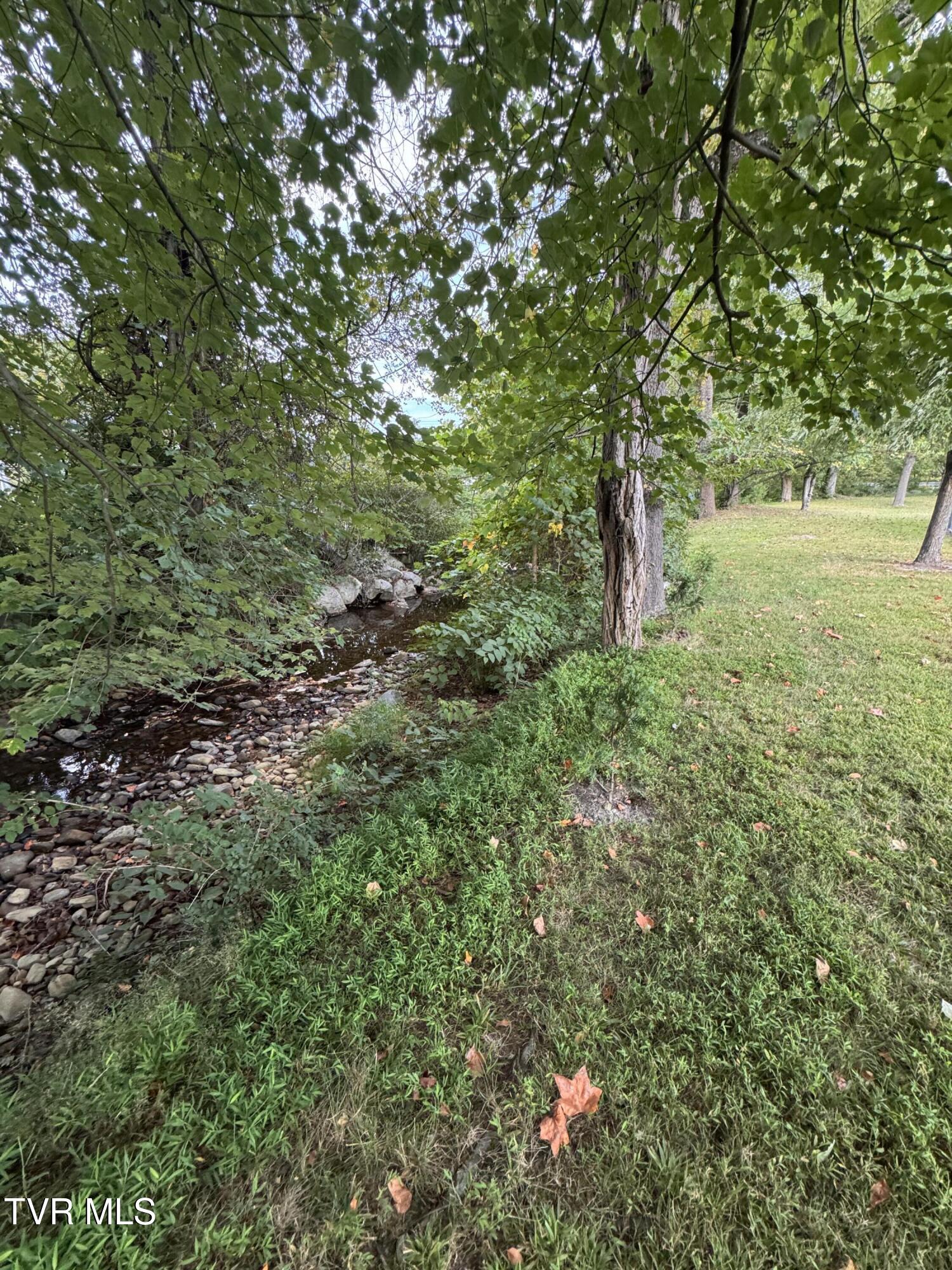 101 Spar Mill Road Erwin, TN 37650 - Photo 20 of 47 IMG_4433