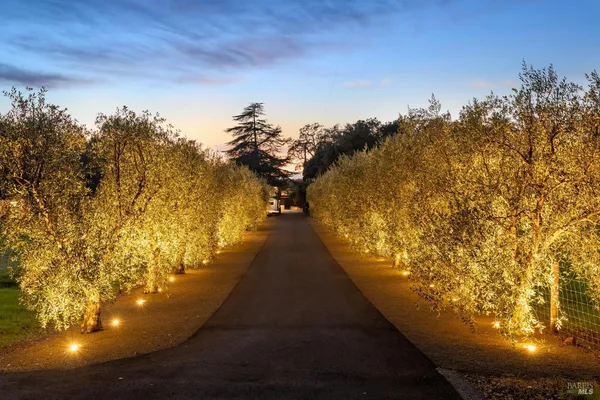 $6,750,000 | 1135 Soda Canyon Road, Napa, CA 94558