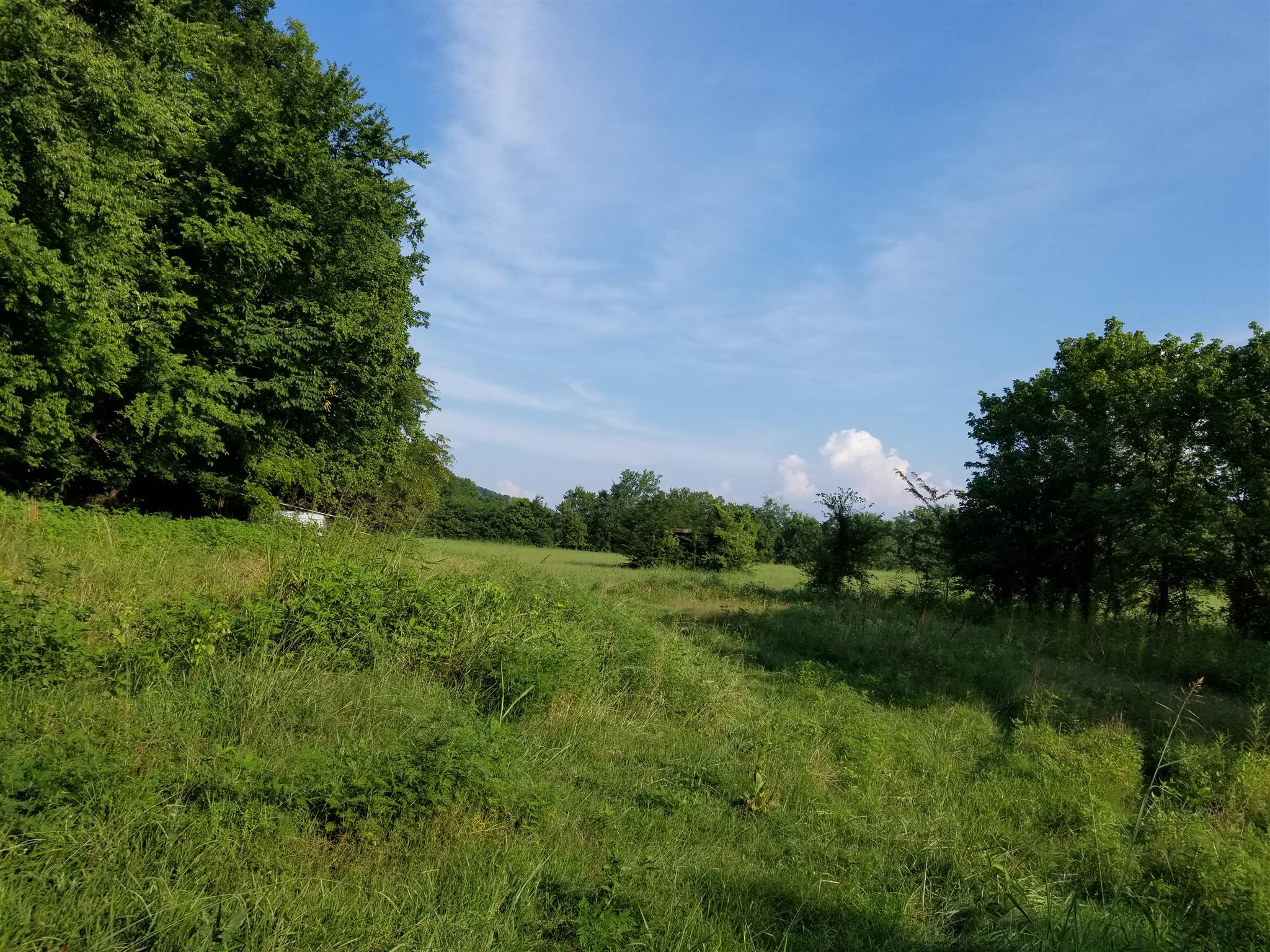 1851 Lower Cane Creek Road Centerville, TN 37033 - Photo 1 of 7 level lot with mature tree line.