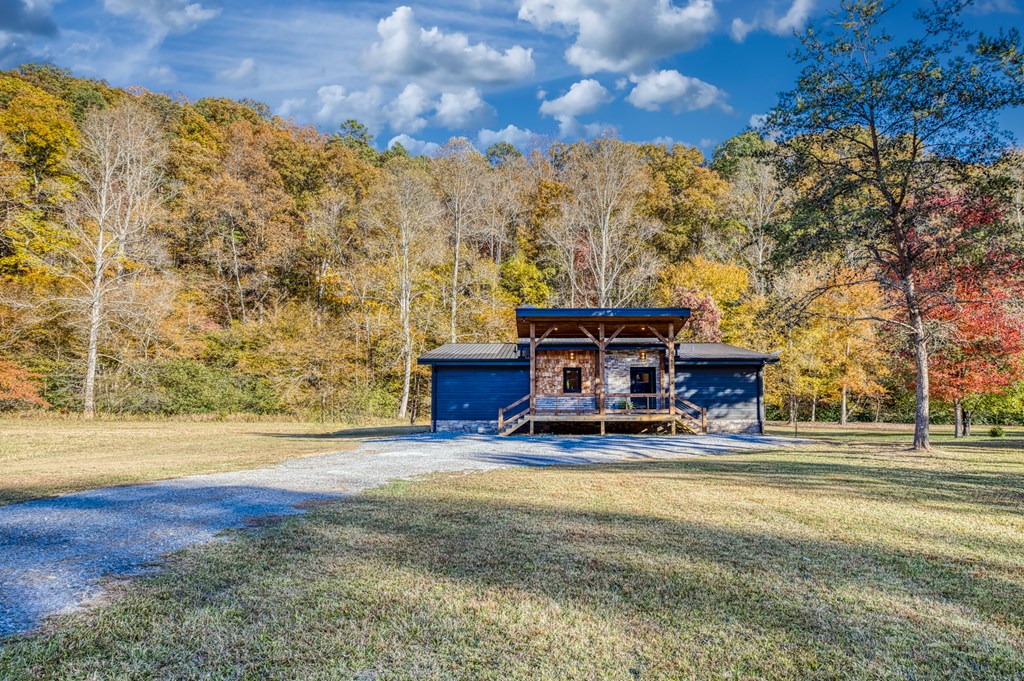 20 Wolf Den Vly Road Mineral Bluff, GA 30559 - Photo 7 of 45