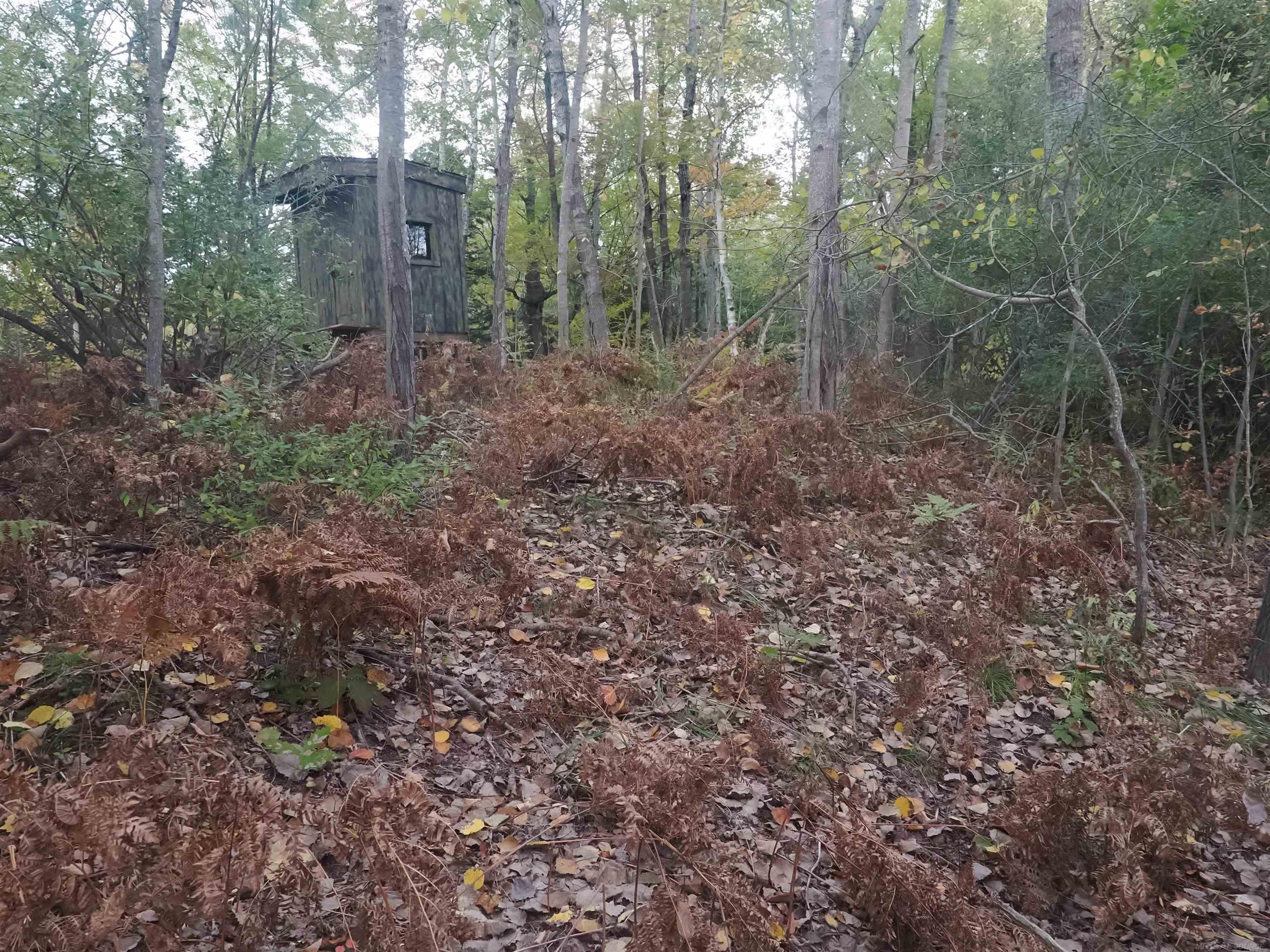 Xxx Tolan Road Spruce, MI 48762 - Photo 69 of 79