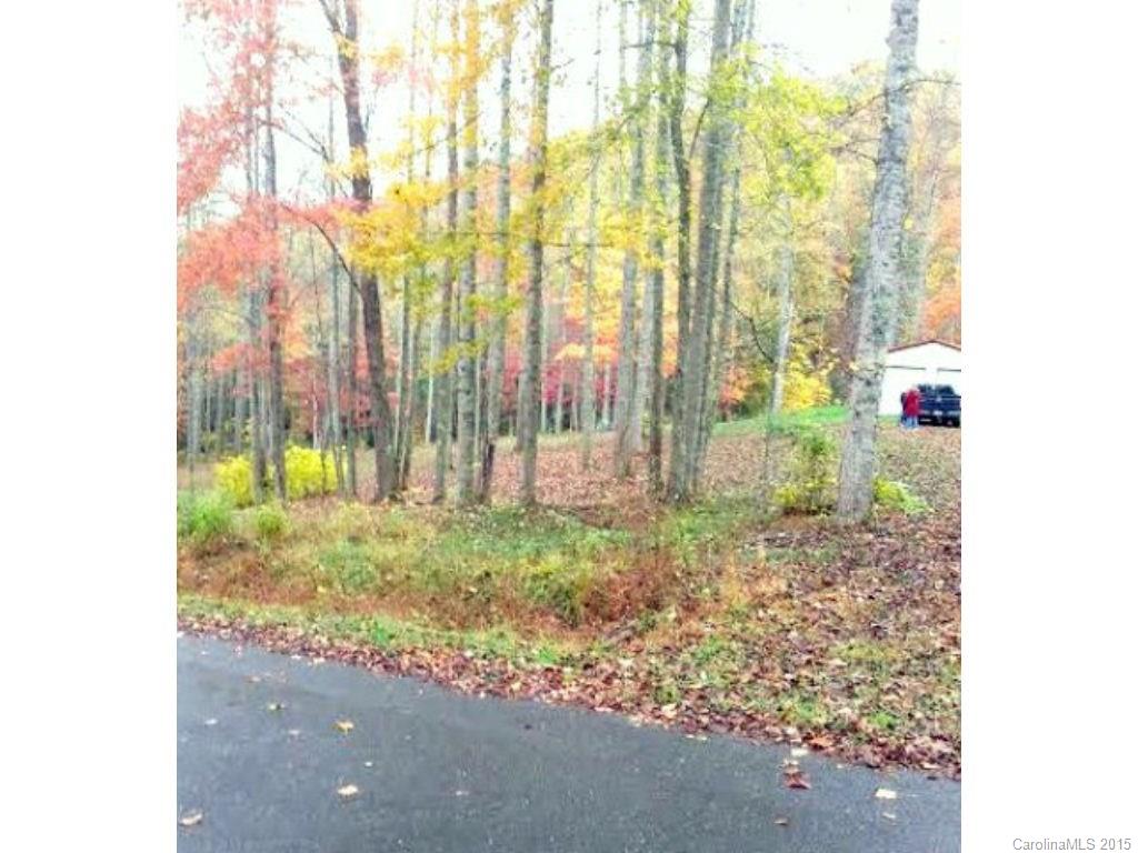 1751 Firefly Road, Unit 1751 Whittier, NC 28789 - Photo 2 of 7 Gallery Image 2