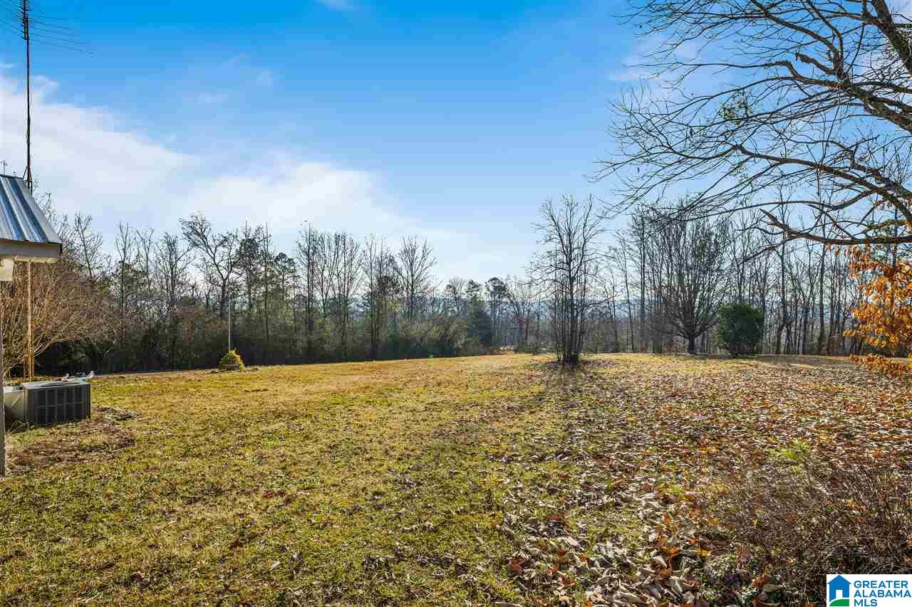 132 Sherrill Road Ashville, AL 35953 - Photo 23 of 24 Gallery Image 23