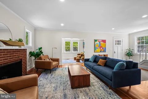 a living room with furniture a fireplace and a potted plant