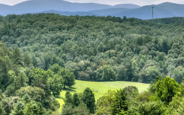 a view of a lush green field with a view of mountains in the background