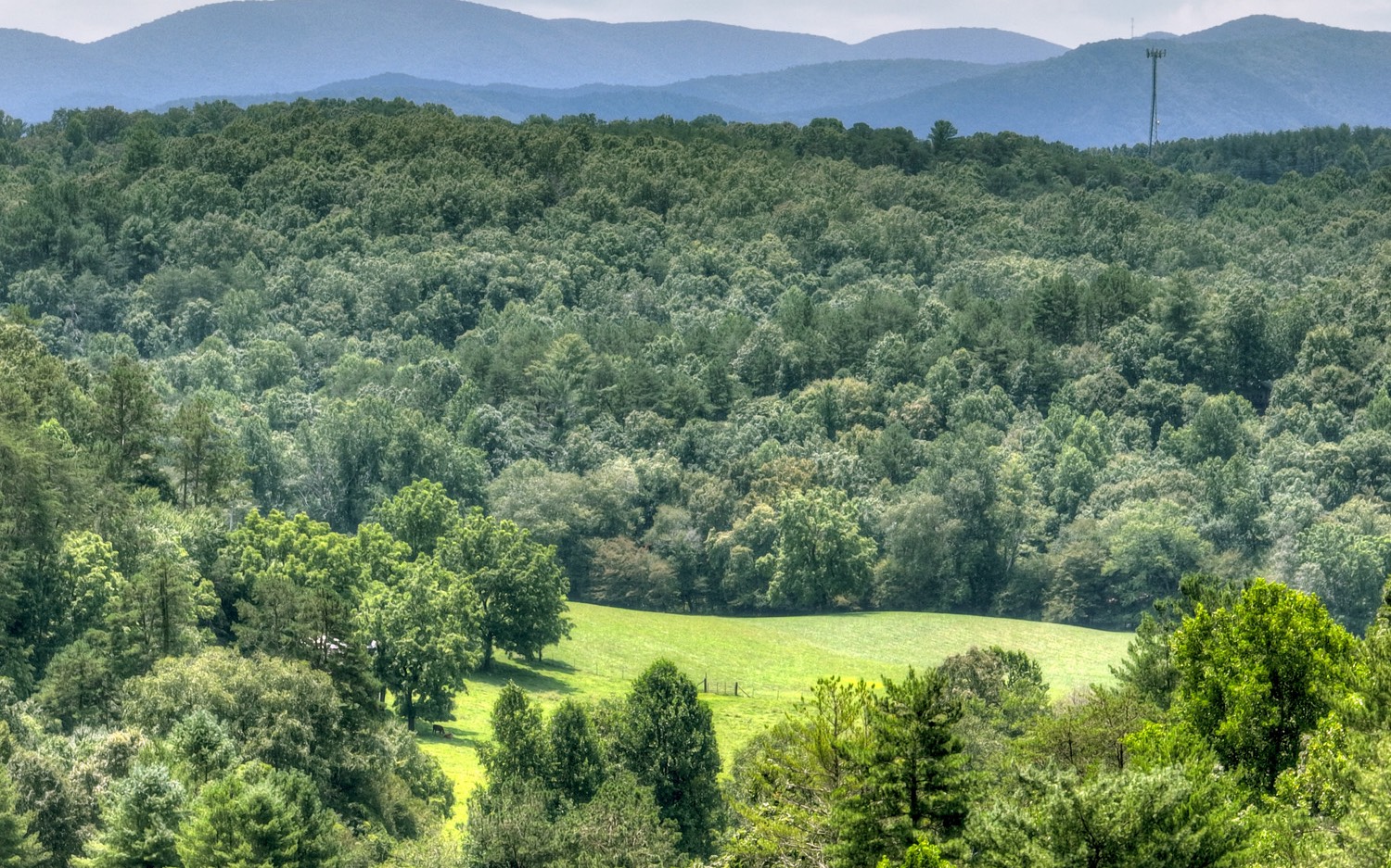 22 Rolling Hills Drive Morganton, GA 30560 - Photo 4 of 12 a view of a lush green field with a view of mountains in the background