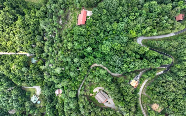 a bird view of a house and pool