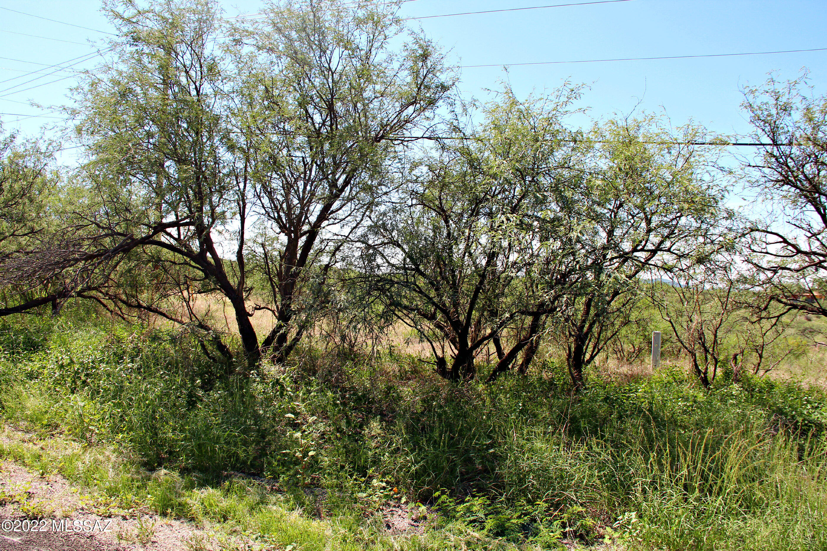 133 Paseo Mexico, Unit 43 Rio Rico, AZ 85648 - Photo 43 of 44