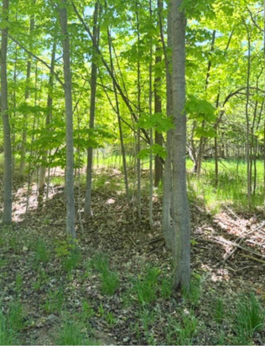 Vl Loomis Road East Jordan, MI 49727 - Photo 3 of 5 1945819-c8915ee5-da79-4efe-b210-b86f316a7259.JPG