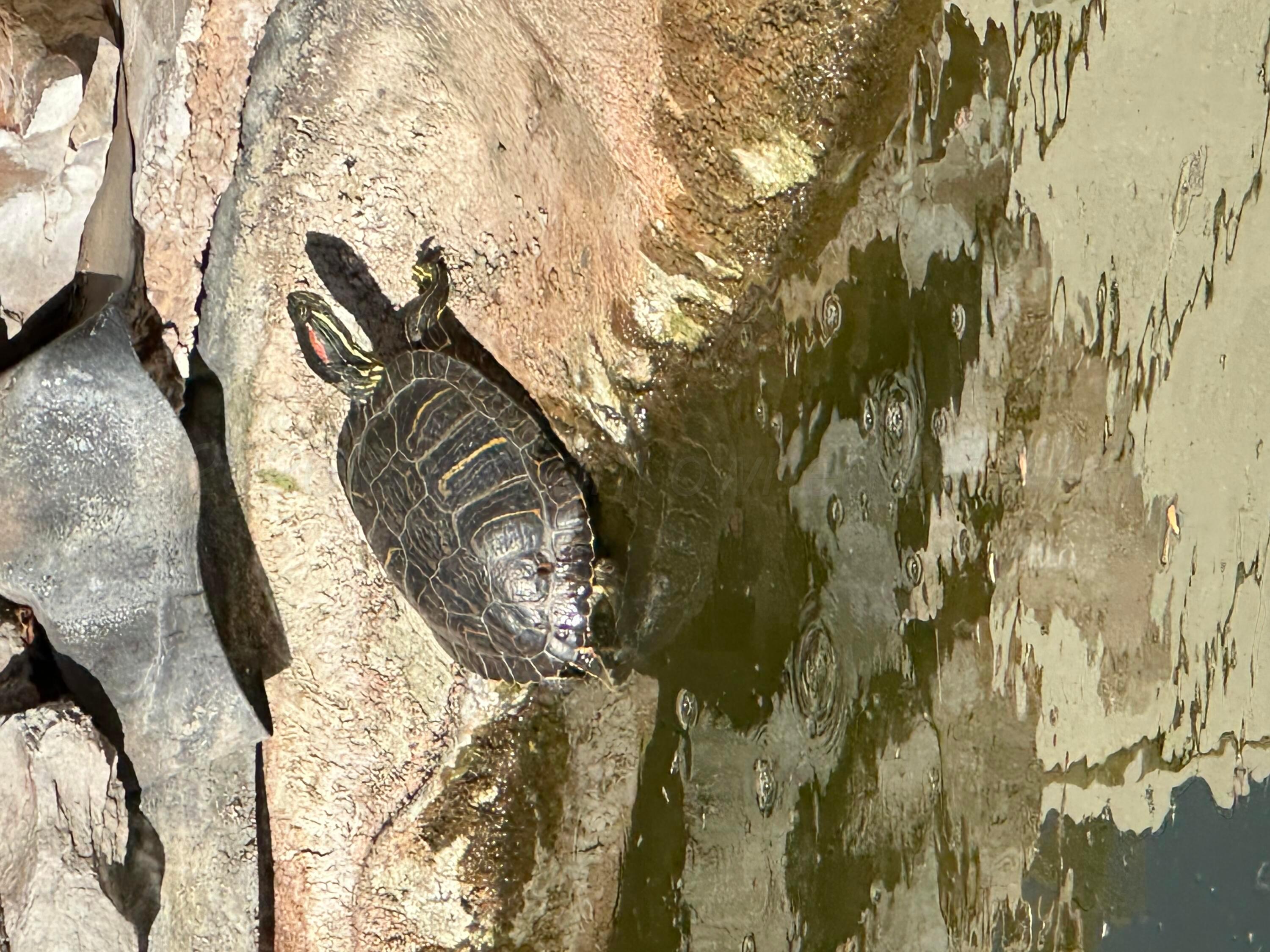 303 Tansy Street Borger, TX 79007 - Photo 24 of 27 IMG_3408