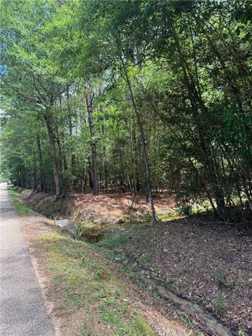 Tbd Lavinghouse Road Bush, LA 70431 - Photo 2 of 3