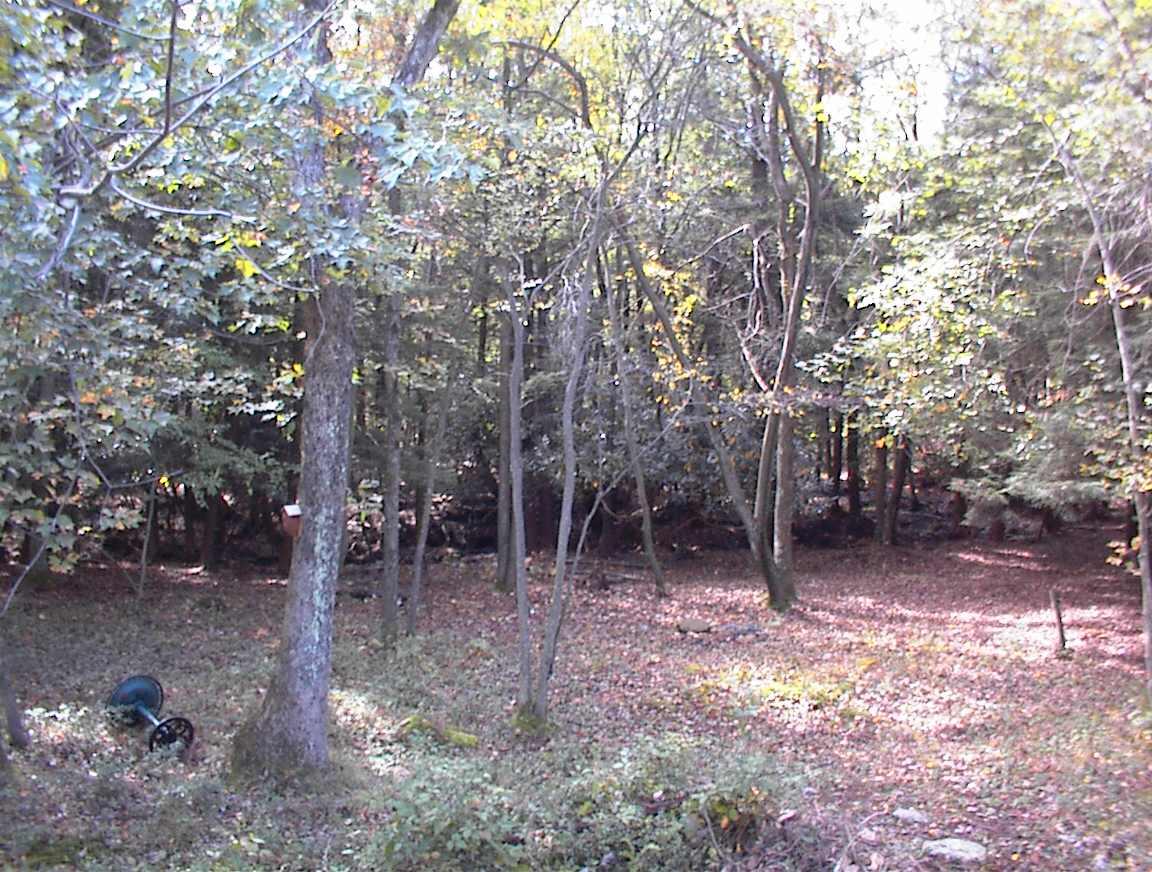 80 Yellow Run Road Jim Thorpe, PA 18229 - Photo 2 of 9 BACK YARD