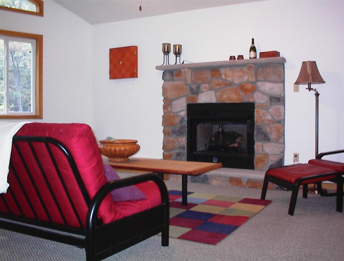 80 Yellow Run Road Jim Thorpe, PA 18229 - Photo 5 of 9 FIREPLACE