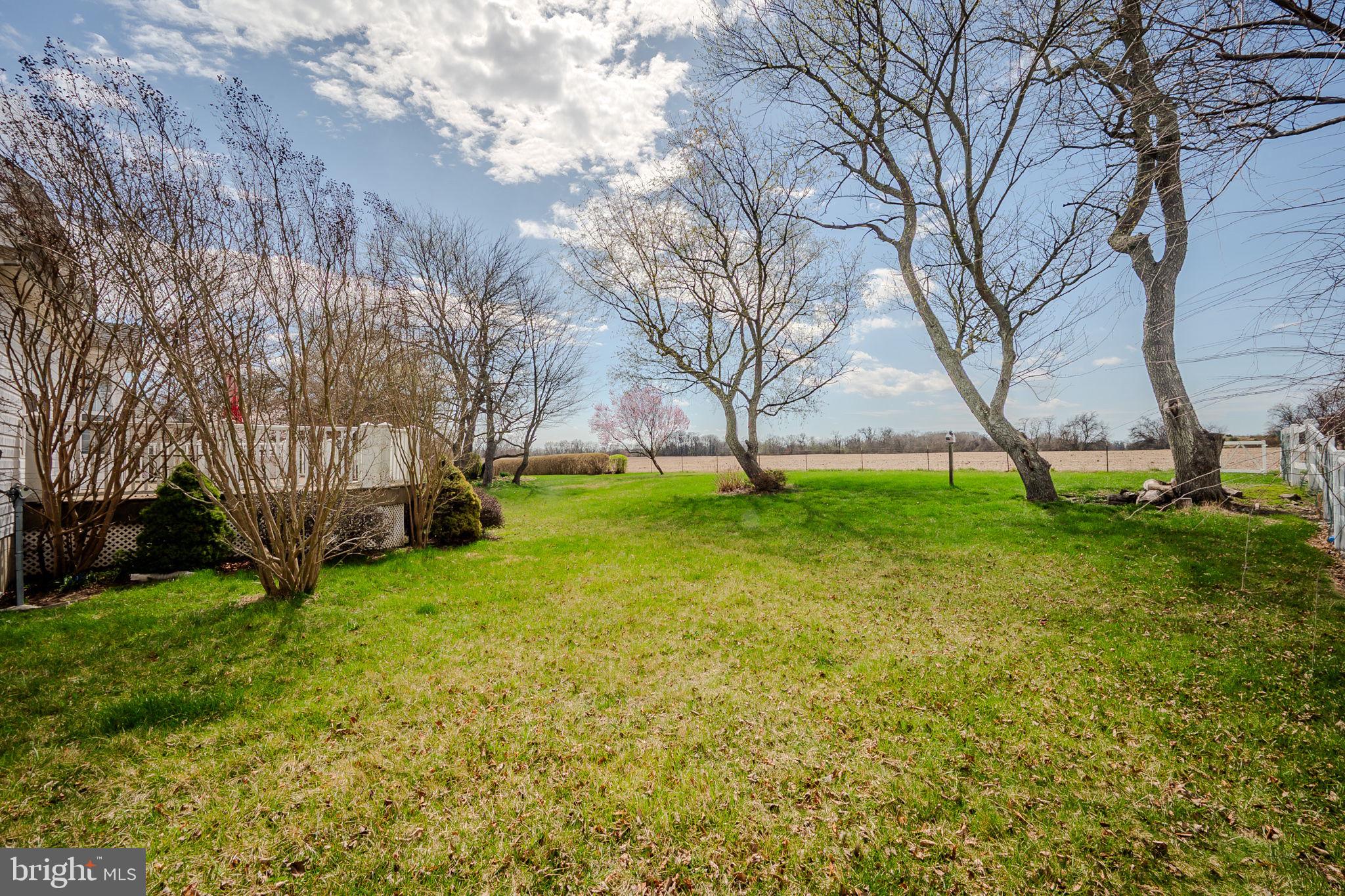 522 Lilac Drive Middletown, DE 19709 - Photo 40 of 46