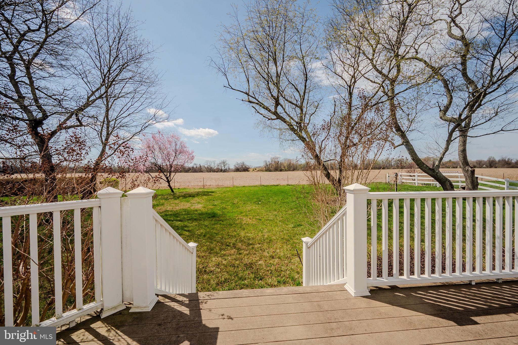 522 Lilac Drive Middletown, DE 19709 - Photo 46 of 46