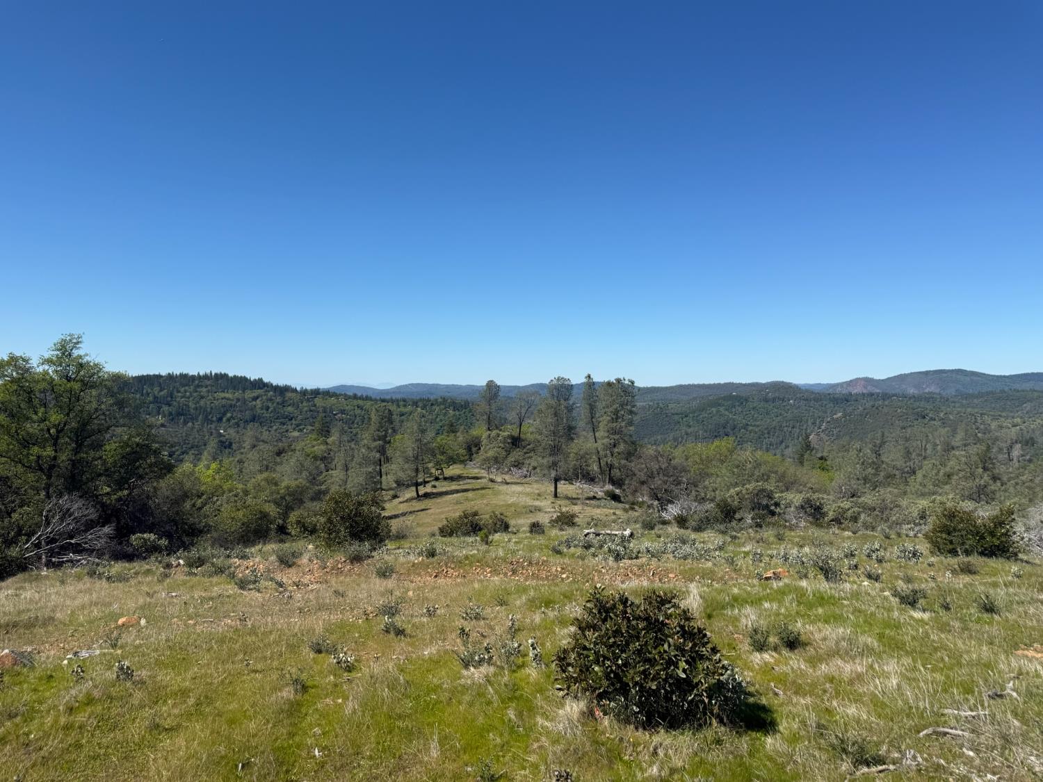 a view of a dry yard with mountains in the background