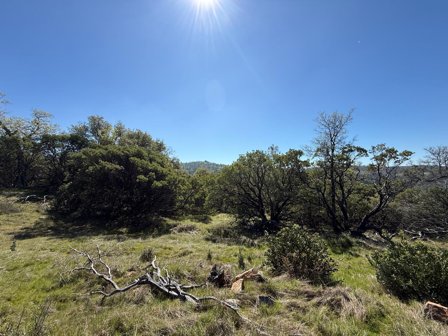14370 Bodie Ridge Road Nevada City, CA 95959 - Photo 13 of 15