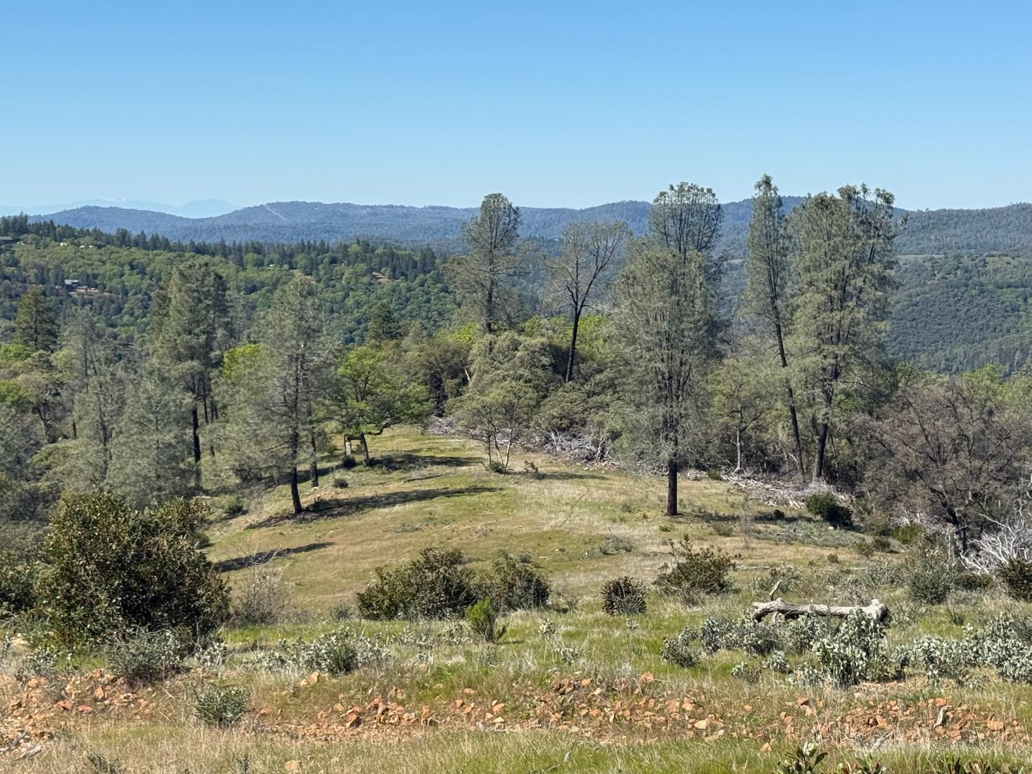 14370 Bodie Ridge Road Nevada City, CA 95959 - Photo 15 of 15 a view of a yard with a mountain