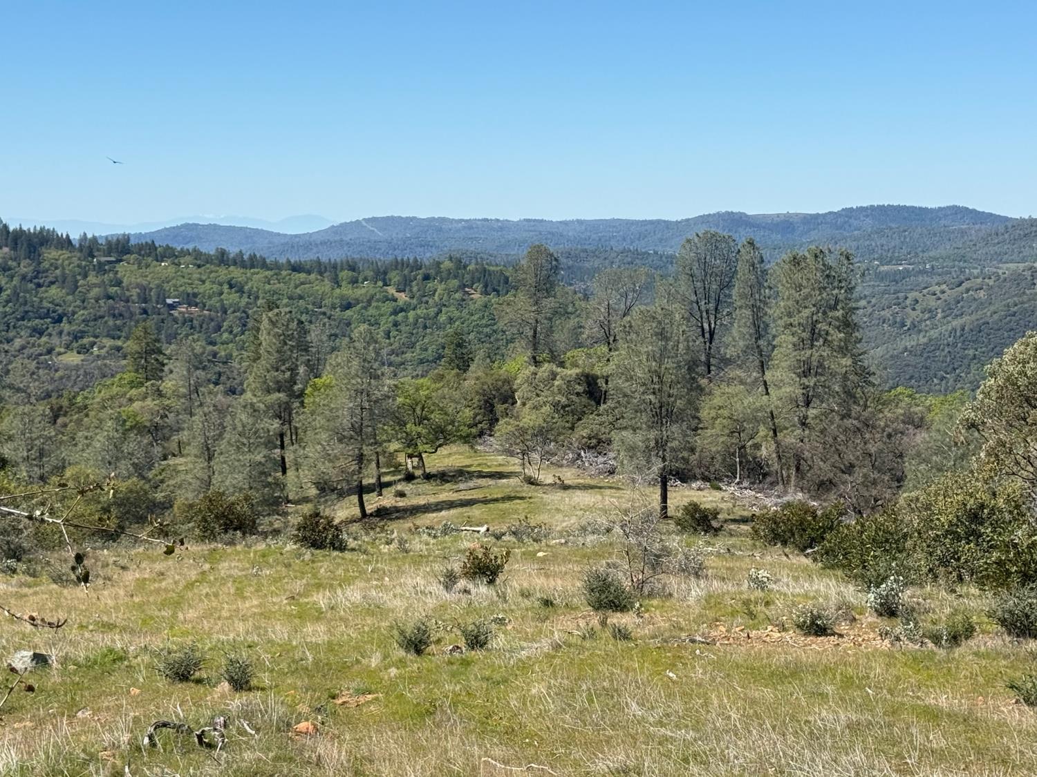 14370 Bodie Ridge Road Nevada City, CA 95959 - Photo 2 of 15 a view of a mountain with trees in the background