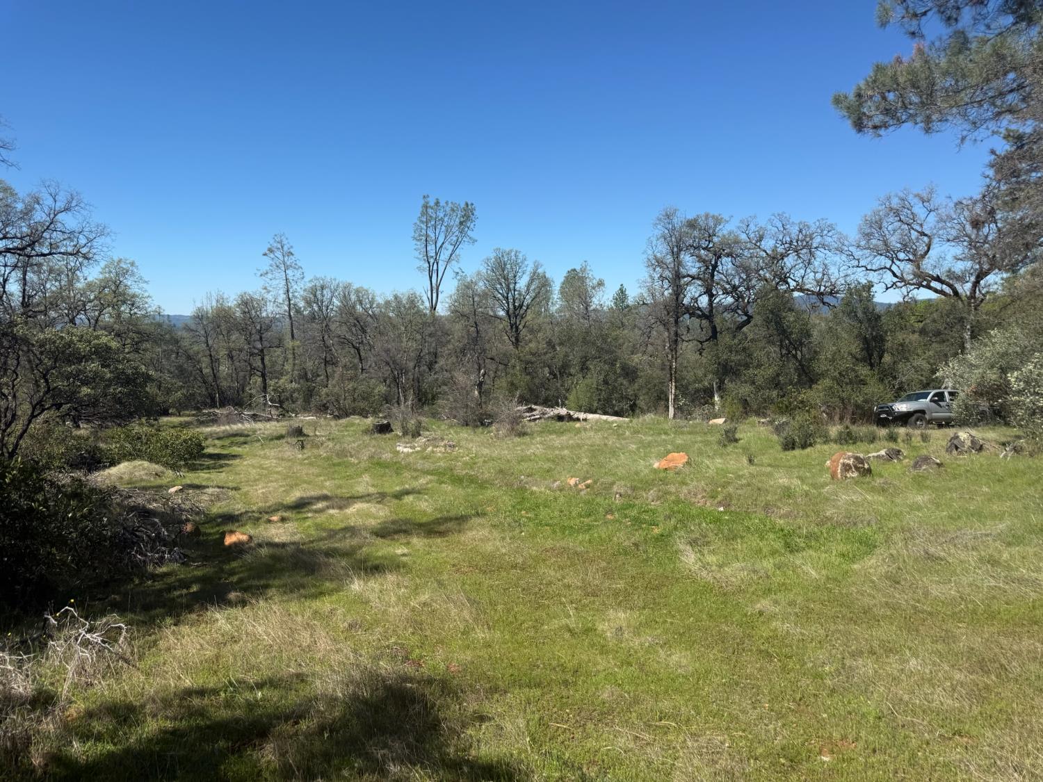 14370 Bodie Ridge Road Nevada City, CA 95959 - Photo 4 of 15 a view of a field with trees in the background