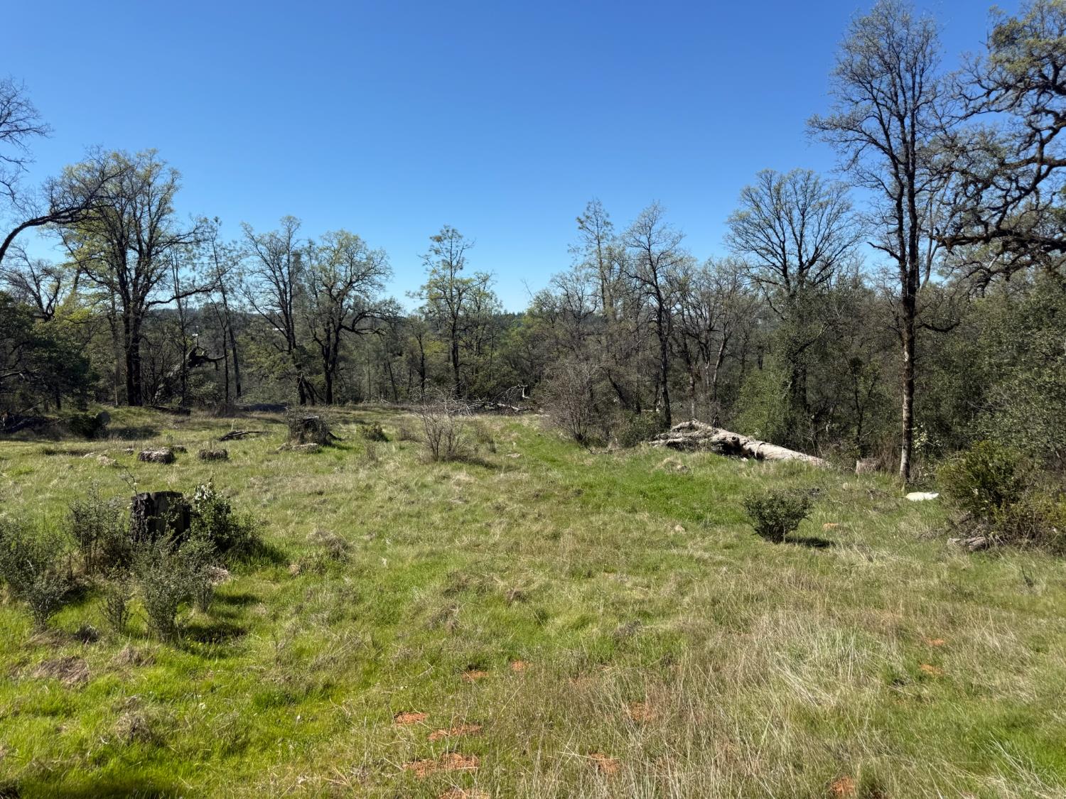 14370 Bodie Ridge Road Nevada City, CA 95959 - Photo 5 of 15 a view of outdoor space with trees all around
