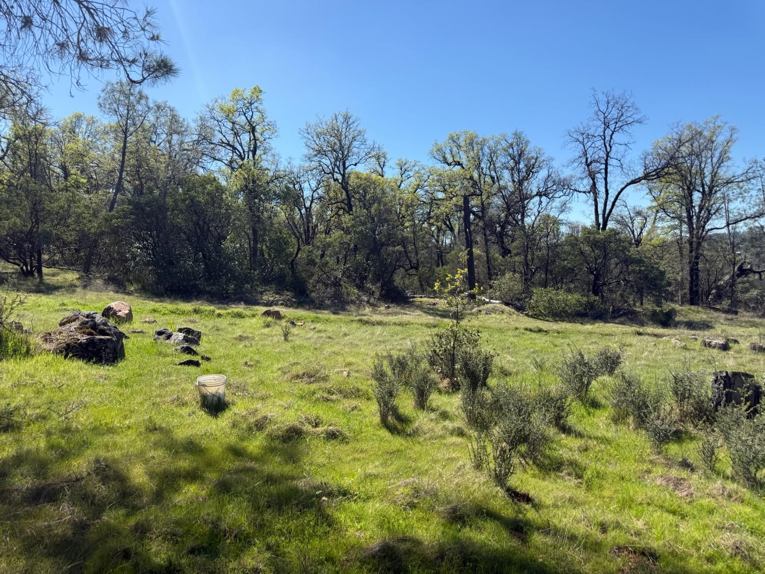 14370 Bodie Ridge Road Nevada City, CA 95959 - Photo 6 of 15 a view of swimming pool with a yard