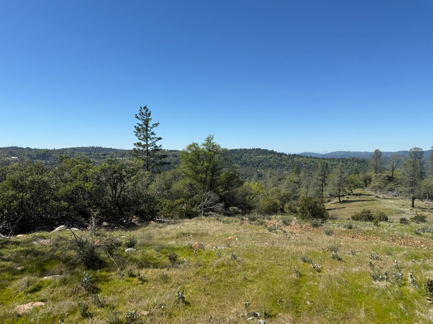 14370 Bodie Ridge Road Nevada City, CA 95959 - Photo 8 of 15 a view of a forest with trees in the background