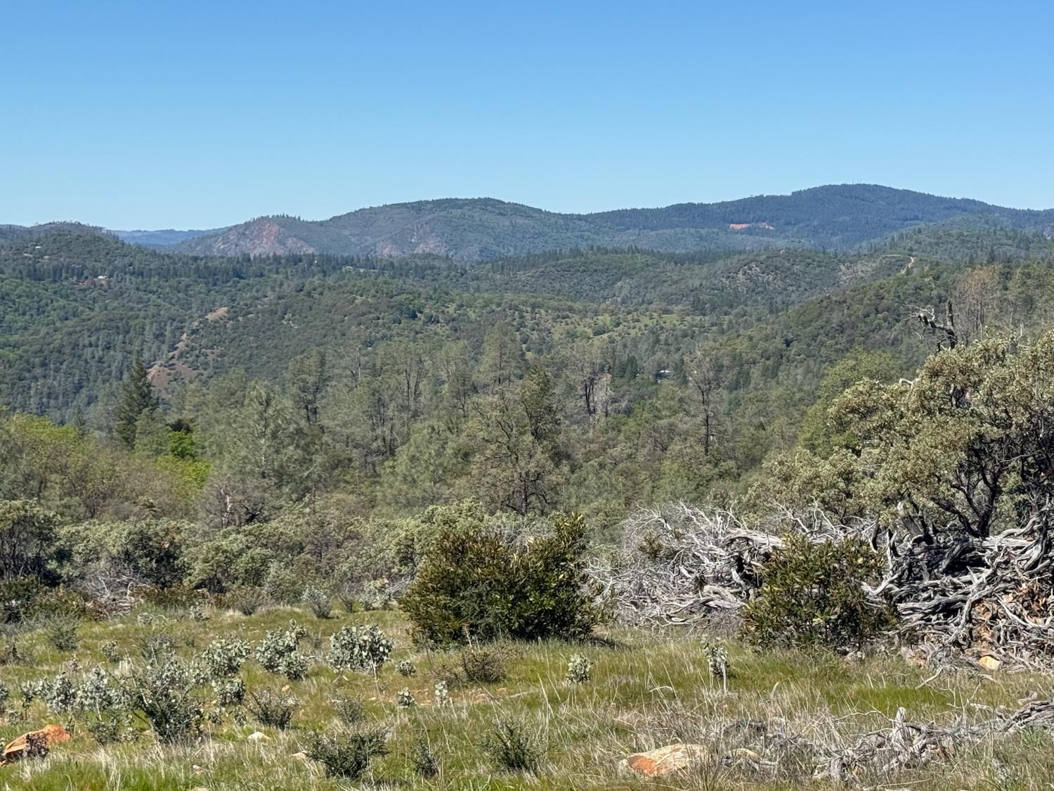 14370 Bodie Ridge Road Nevada City, CA 95959 - Photo 9 of 15 a view of a mountain range with trees