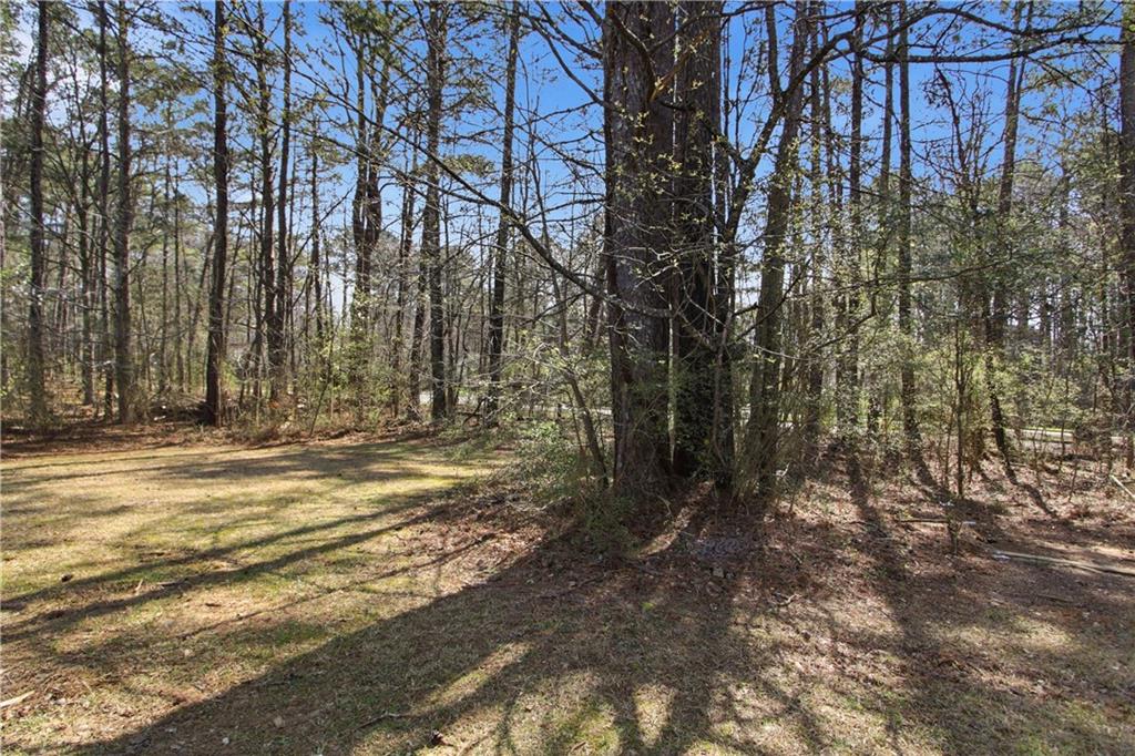 2296 Talbot Ridge Jonesboro, GA 30236 - Photo 42 of 44 a view of a yard with trees