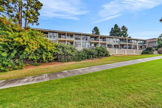a view of a big yard with a large tree and plants