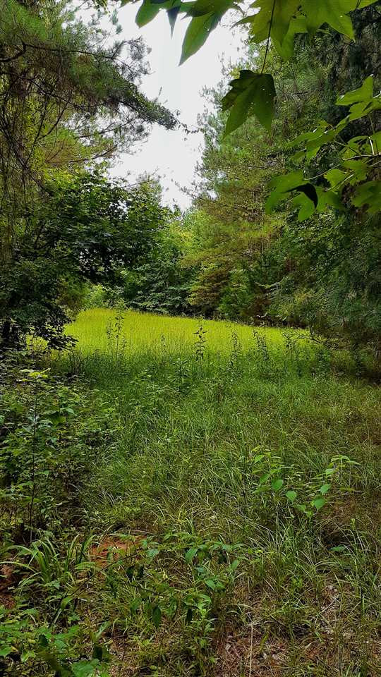 204 B McKay Road Canton, MS 39046 - Photo 14 of 20 Photo 14