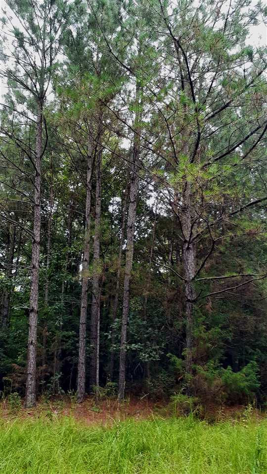 204 B McKay Road Canton, MS 39046 - Photo 17 of 20 Photo 17
