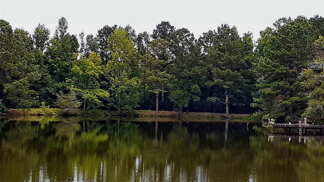 204 B McKay Road Canton, MS 39046 - Photo 2 of 20 Photo 2