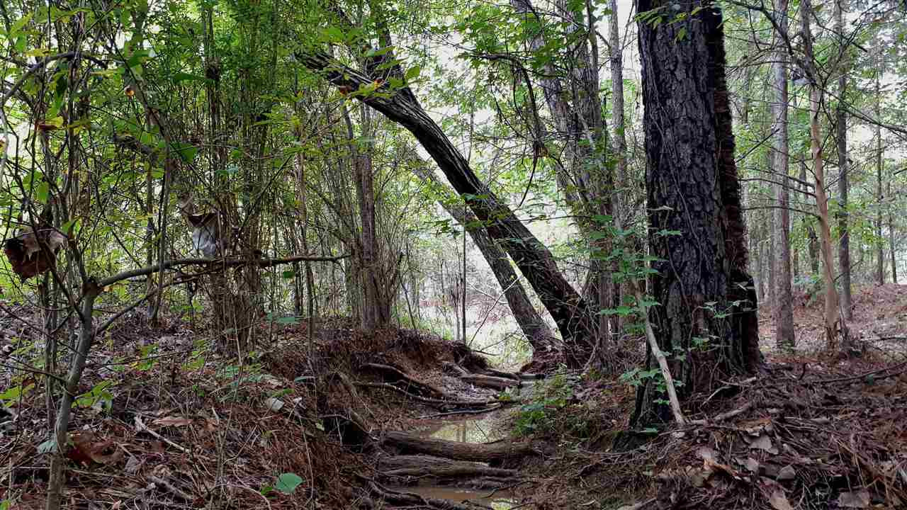 204 B McKay Road Canton, MS 39046 - Photo 3 of 20 Photo 3