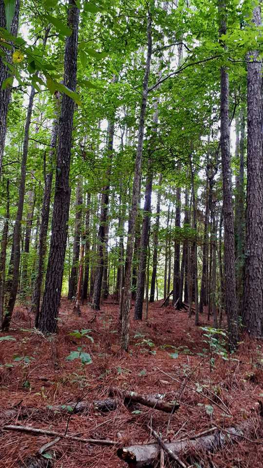 204 B McKay Road Canton, MS 39046 - Photo 4 of 20 Photo 4