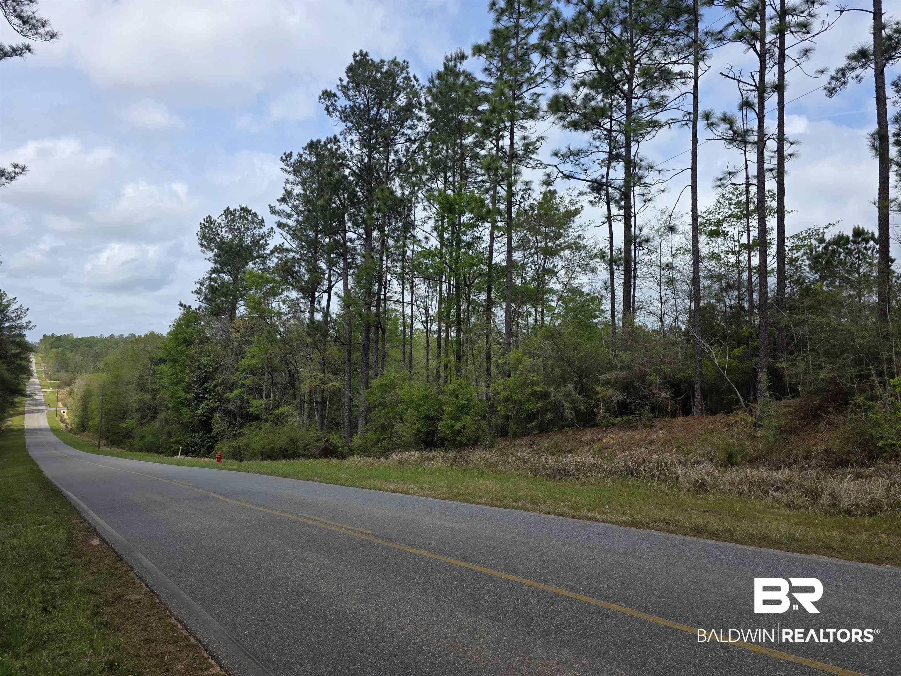 12185 Red Hill Rd Extension Bay Minette, AL 36507 - Photo 3 of 6 View of asphalt road