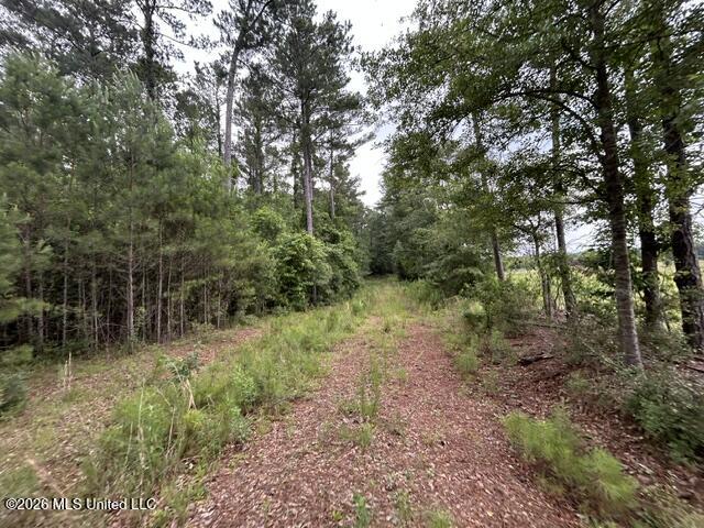301 Freeman Road Southwest Summit, MS 39666 - Photo 7 of 43 IMG_4587