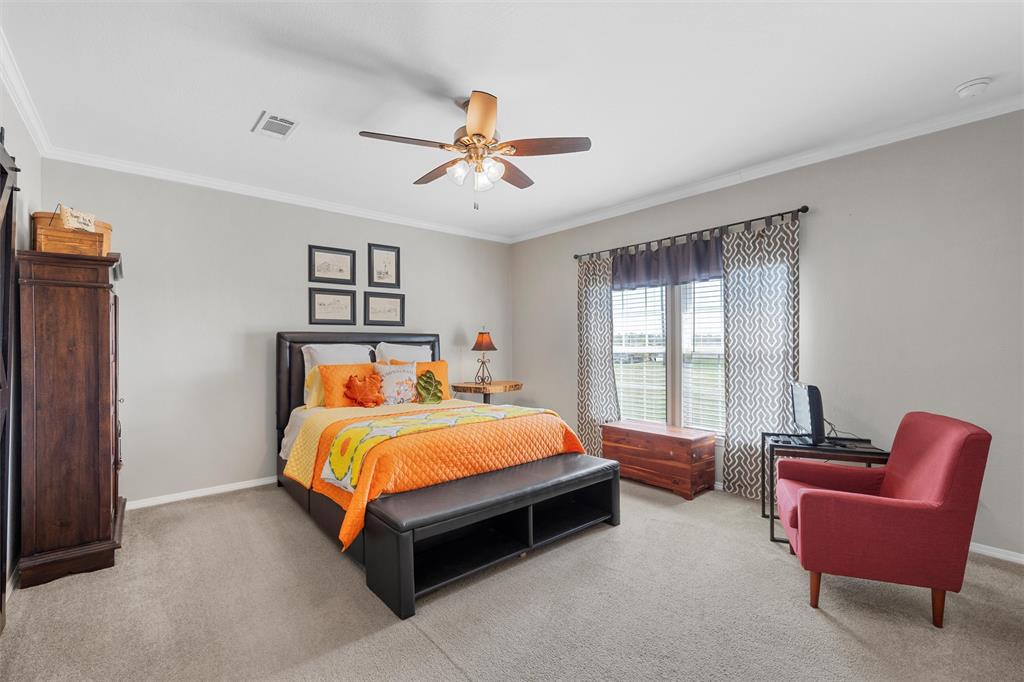 3449 Bluhm Road West, TX 76691 - Photo 17 of 40 Bedroom featuring ornamental molding, light carpet, and a ceiling fan